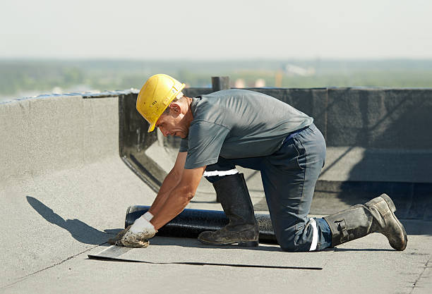 Best Commercial Insulation in New Prague, MN
